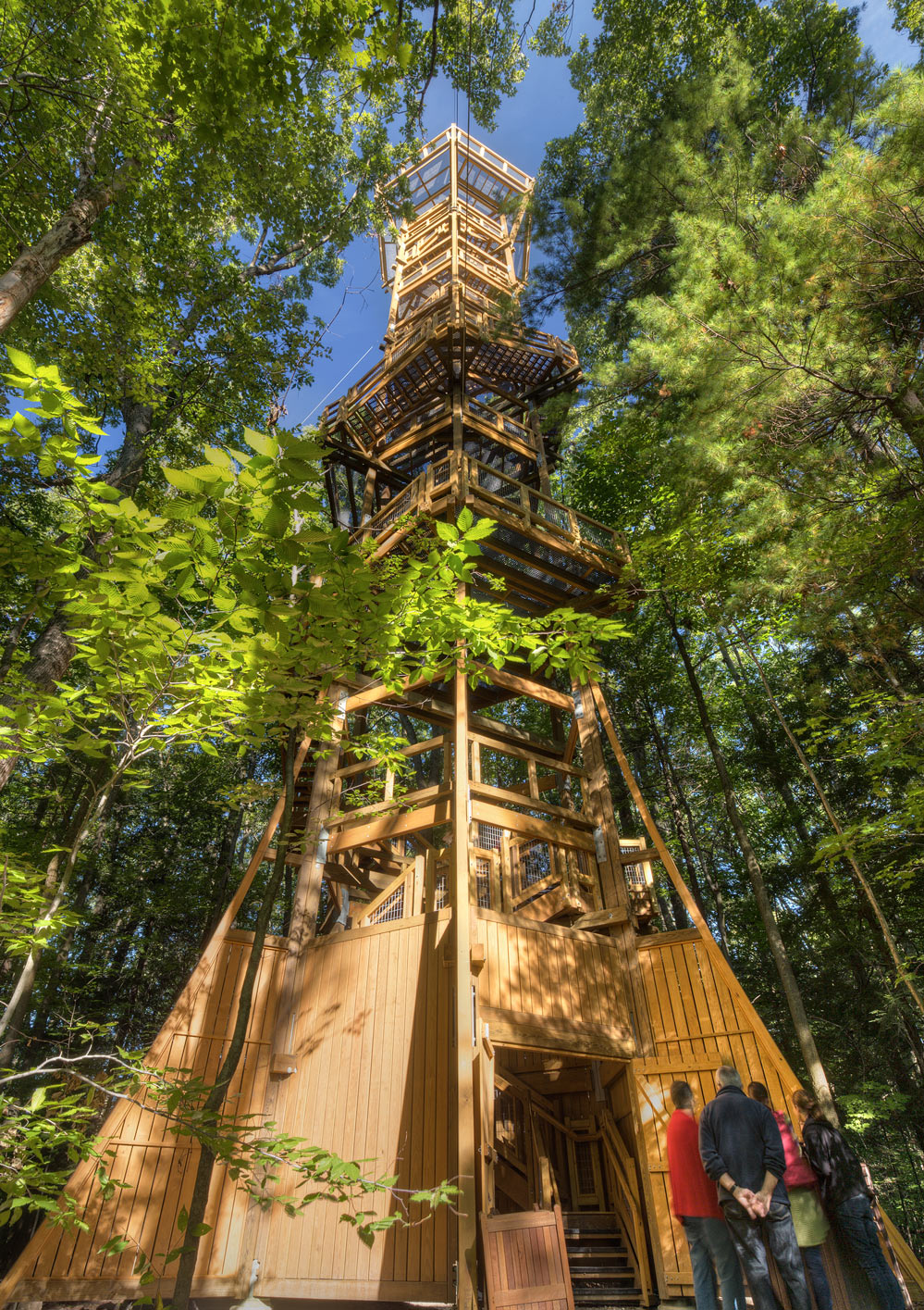 Kalberer Family Emergent Tower, Holden Arboretum