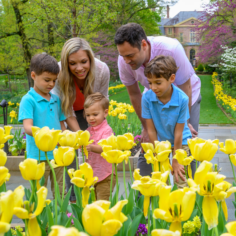 Kingwood Center Gardens